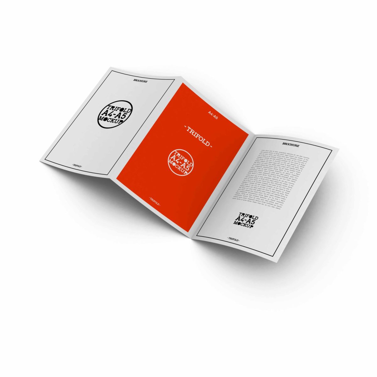 Colorful Tri-Fold Mockup