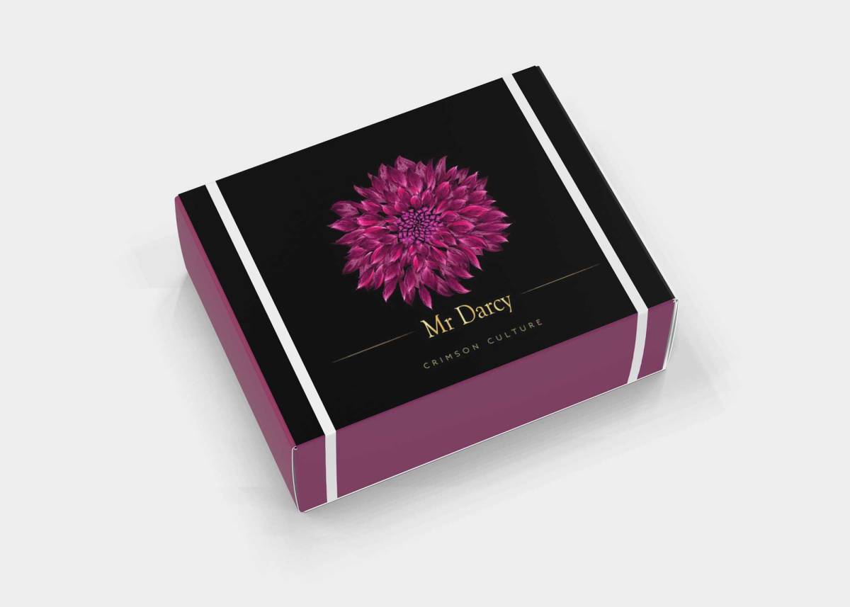 Creative Box Mockup